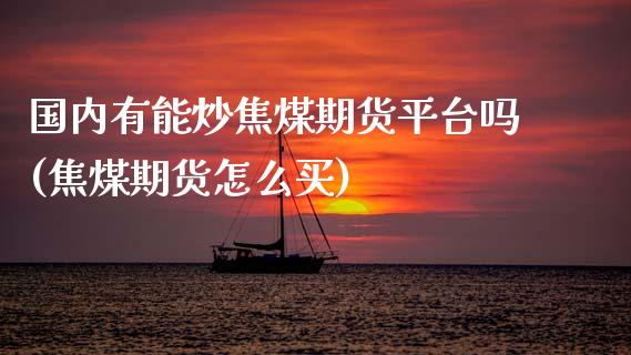 国内有能炒焦煤期货平台吗(焦煤期货怎么买)_https://www.liaoxian666.com_股指期货开户_第1张