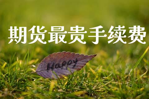 期货最贵手续费_https://www.liaoxian666.com_黄金期货开户_第1张