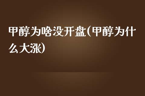 甲醇为啥没开盘(甲醇为什么大涨)_https://www.liaoxian666.com_恒指期货开户_第1张