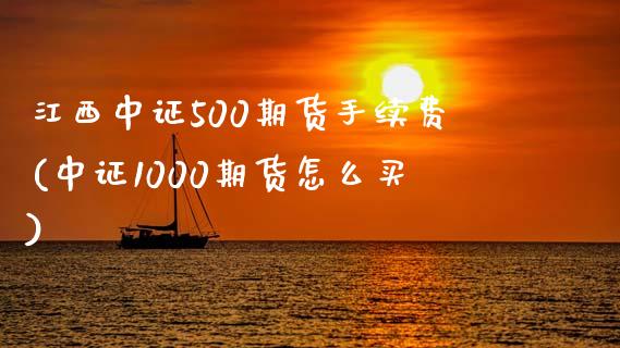 江西中证500期货手续费(中证1000期货怎么买)_https://www.liaoxian666.com_国际期货开户_第1张