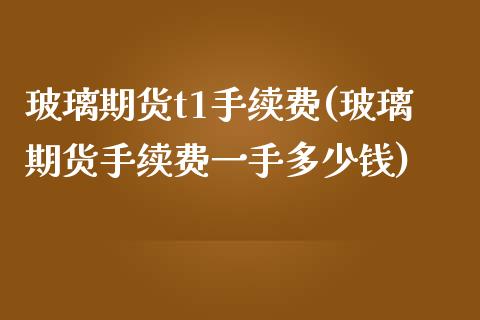 玻璃期货t1手续费(玻璃期货手续费一手多少钱)_https://www.liaoxian666.com_恒指期货开户_第1张