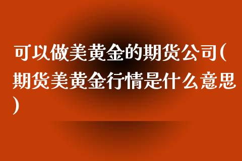 可以做美黄金的期货公司(期货美黄金行情是什么意思)_https://www.liaoxian666.com_期货开户_第1张