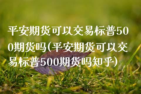 平安期货可以交易标普500期货吗(平安期货可以交易标普500期货吗知乎)_https://www.liaoxian666.com_国际期货开户_第1张