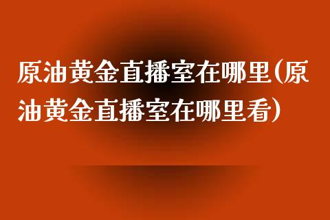 原油黄金直播室在哪里(原油黄金直播室在哪里看)_https://www.liaoxian666.com_黄金期货开户_第1张