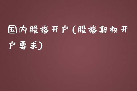 国内股指开户(股指期权开户要求)_https://www.liaoxian666.com_恒指期货开户_第1张