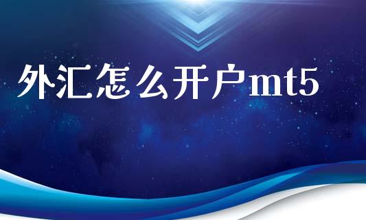 外汇怎么开户mt5_https://www.liaoxian666.com_原油期货开户_第1张