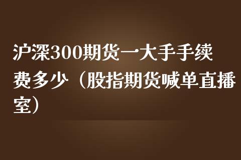 沪深300期货一大手手续费多少（股指期货喊单直播室）_https://www.liaoxian666.com_黄金期货开户_第1张