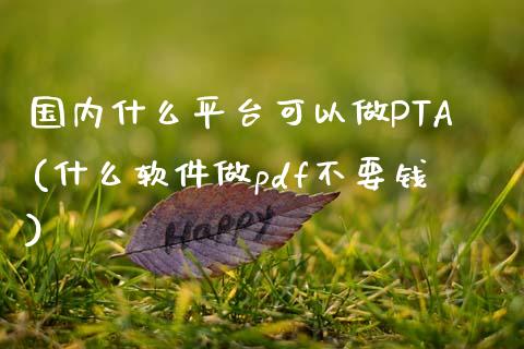 国内什么平台可以做PTA(什么软件做pdf不要钱)_https://www.liaoxian666.com_股指期货开户_第1张