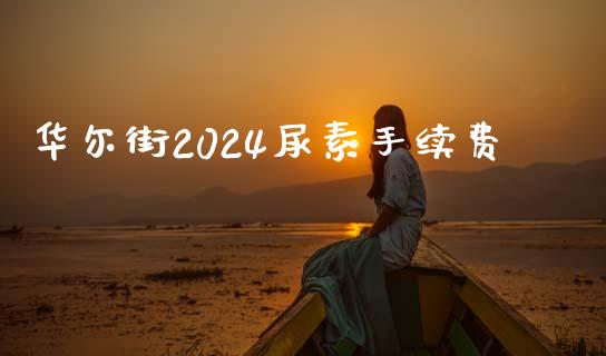 华尔街2024尿素手续费_https://www.liaoxian666.com_恒指期货开户_第1张